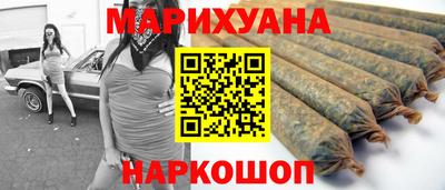 спайс Гай