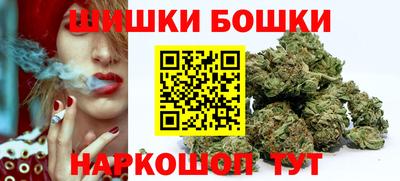 спайс Гай