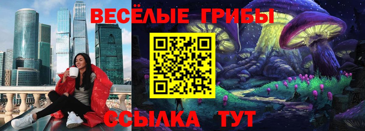 Галлюциногенные грибы прущие грибы Кемерово