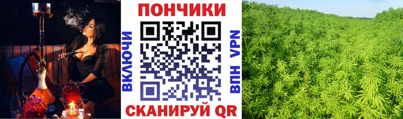 Марихуана планчик  Кемерово 
